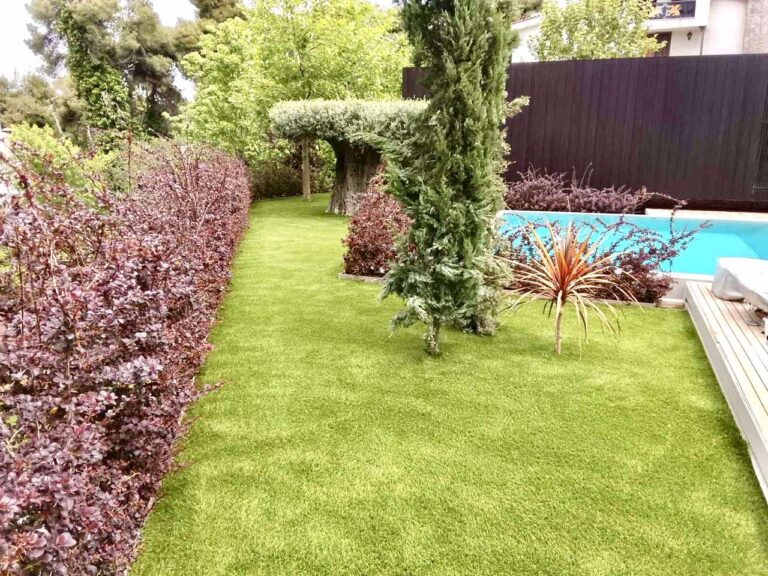 Garden-2